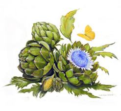 Artichoke with Blossoms by Linda Wexler
